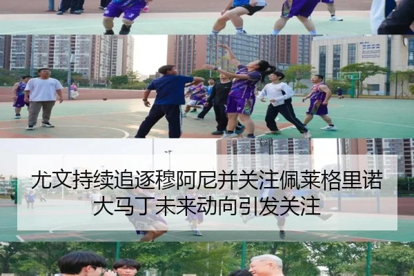 尤文持续追逐穆阿尼并关注佩莱格里诺大马丁未来动向引发关注